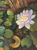 art of Lisa Wright